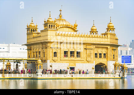 Turisti e pellegrini in attesa in linea in entrata l'Harmandir Sahib (Tempio d'oro). Foto Stock