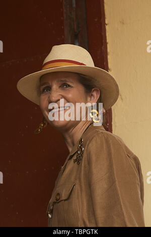 Aranjuez, Madrid, Spagna. 2 Giugno, 2019. La principessa Elena de Borbon assiste la corrida omaggio a Maria de las Mercedes de Borbon a Plaza de Toros de Aranjuez il 2 giugno 2019 in Aranjuez, Spagna .Questo evento è l'ultimo evento come Re Juan Carlos di Spagna Spagna rappresenterà il Royals spagnolo prima di questo credito di pensionamento: Jack Abuin/ZUMA filo/Alamy Live News Foto Stock