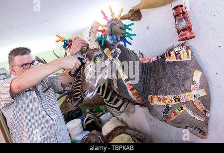 20 maggio 2019, Bassa Sassonia, Maschen/Seevetal: Michael Sens, imbalsamatore, sta lavorando su un preparato kudo. Se i trofei di caccia o familiari - Sens respira la vita torna in animali morti. (Zu dpa "Boxer, pug e cat - Preparato per la vita dopo la morte") Foto: Daniel Bockwoldt/dpa Foto Stock