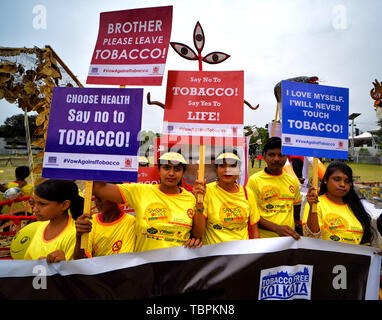 Kolkata, India. 02Giugno, 2019. A scuola i bambini tenere cartelloni durante il rally. La scuola dei bambini prendere parte al fumo Rally libero durante il tabacco non settimana di sensibilizzazione in Kolkata, esse convogliano messaggi alla gente comune per quanto riguarda gli effetti del fumo di tabacco e. Credito: SOPA Immagini limitata/Alamy Live News Foto Stock