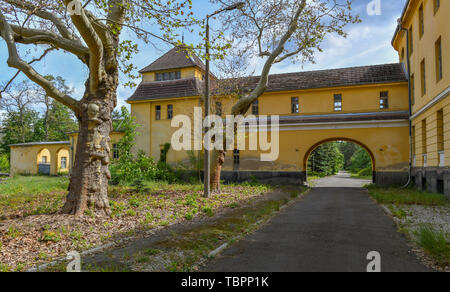 Wunsdorf, Deutschland. 29 Maggio, 2019. 29.05.2019, Brandeburgo, Wunsdorf: l'ex militare di casa del sito degli ufficiali. Il sito è stato ginnastica militare (1919), poi scuola militare (1933) e dal 1945 la casa degli ufficiali. Credito: Patrick Pleul/dpa-Zentralbild/ZB | in tutto il mondo di utilizzo/dpa/Alamy Live News Foto Stock