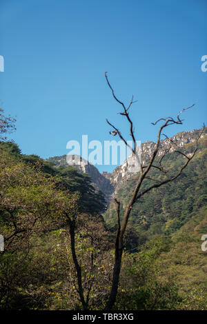 Il Monte Taishan Scenic Area Foto Stock