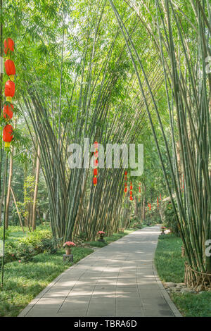 Foresta di Bamboo prugna Fiore strada prato in primavera a Chengdu, Cina Foto Stock