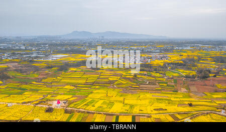 National Highway 108 attraverso Hanzhong olio di colza Foto Stock