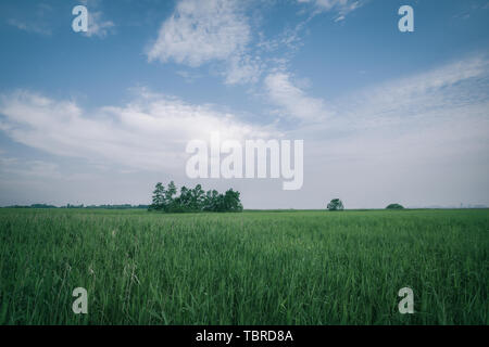 Tema estivo immagine di sfondo cielo blu e nuvole bianche Foto Stock