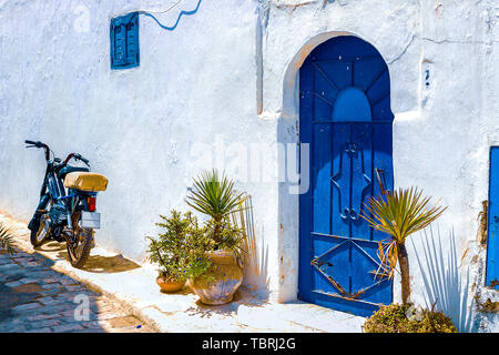 Blu e bianco tradizionale street con piante e palme in vaso e uno scooter vicino alla parete, una motocicletta nella Medina di Rabat, Marocco, Africa Foto Stock