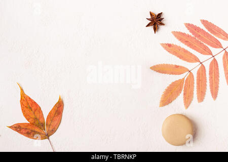 Bianco minimalista autunno sfondo con amaretto cookies e foglie colorate. Foto Stock