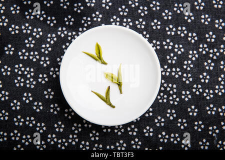 Angie tè bianco, gara di outrageous bud testa Foto Stock