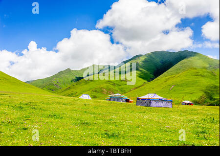 Sankor steppa Foto Stock