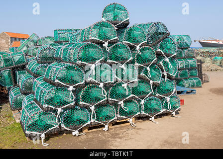 Pile di nuova lobster pot sull Isola Santa Lindisfarne, Northumberland, England, Regno Unito Foto Stock