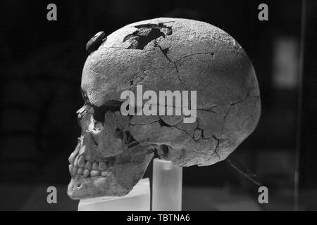 Mostra 'Severed teste. Simboli del potere" presso il Museo Archeologico Nazionale di Madrid in Spagna con: atmosfera dove: Madrid, Spagna Quando: 03 maggio 2019 Credit: Oscar Gonzalez/WENN.com Foto Stock