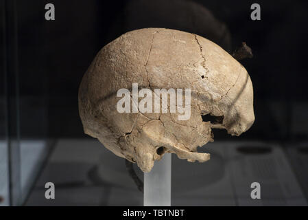 Mostra 'Severed teste. Simboli del potere" presso il Museo Archeologico Nazionale di Madrid in Spagna con: atmosfera dove: Madrid, Spagna Quando: 03 maggio 2019 Credit: Oscar Gonzalez/WENN.com Foto Stock