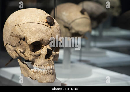 Mostra 'Severed teste. Simboli del potere" presso il Museo Archeologico Nazionale di Madrid in Spagna con: atmosfera dove: Madrid, Spagna Quando: 03 maggio 2019 Credit: Oscar Gonzalez/WENN.com Foto Stock