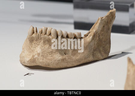 Mostra 'Severed teste. Simboli del potere" presso il Museo Archeologico Nazionale di Madrid in Spagna con: atmosfera dove: Madrid, Spagna Quando: 03 maggio 2019 Credit: Oscar Gonzalez/WENN.com Foto Stock