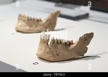 Mostra 'Severed teste. Simboli del potere" presso il Museo Archeologico Nazionale di Madrid in Spagna con: atmosfera dove: Madrid, Spagna Quando: 03 maggio 2019 Credit: Oscar Gonzalez/WENN.com Foto Stock