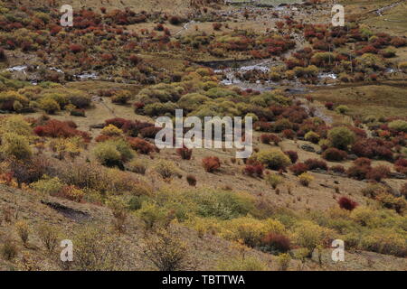 Autunno scenario di montagna Mengpen Foto Stock