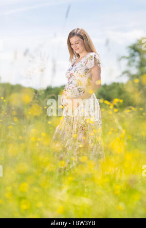 Bella donna incinta in bianco abiti estivi in prato pieno di giallo fiori che sbocciano. Foto Stock