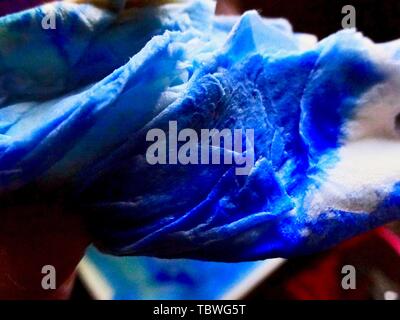 Blue-tinto di asciugamani di carta. Foto Stock