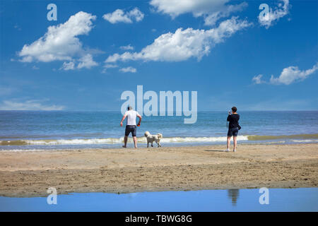 Giovane giocando con il cane sulla spiaggia lungo la costa del Mare del Nord in estate Foto Stock