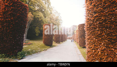 Parc d'Osseghem Laeken a Bruxelles in Belgio. Avenue du Hallier. Park a Laeken Foto Stock