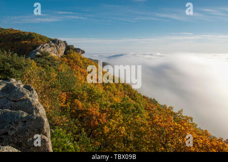 Confine Sino-Russian Xingkai lago Lago di colore di autunno Foto Stock