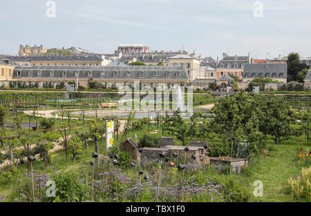 GIARDINO DELLA CUCINA DEL RE, VERSAILLES FRANCIA Foto Stock