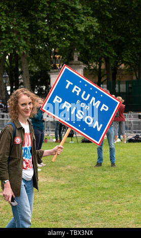 Londra, UK 3 giugno 2019 Anti Trump manifestanti si radunano in St James Park Foto Stock