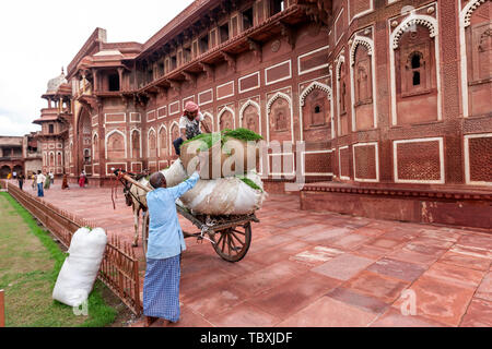 Il taglio di prato in palazzo di Jahangir , Agra Fort Agra, Uttar Pradesh, India del Nord Foto Stock