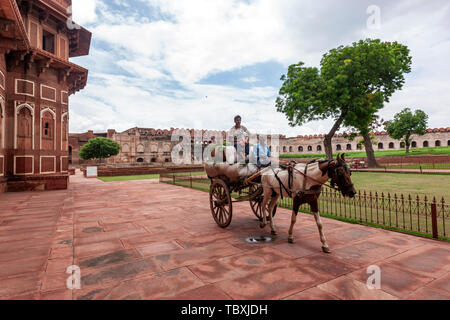 Il taglio di prato in palazzo di Jahangir , Agra Fort Agra, Uttar Pradesh, India del Nord Foto Stock