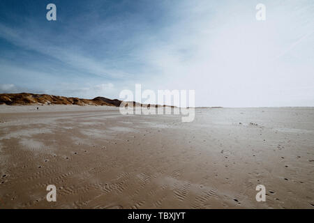 Le dune di sabbia dell'isola di Amrum in primavera su un nuvoloso, giorno atmosferica a bassa marea. Idilliaco paesaggio pittoresco con erba secca. Foto Stock