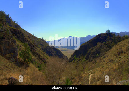 Fuori nella valle attraverso la gola ricoperta con MOSS e arbusti. Montagne di Altai, Siberia, Russia. Foto Stock