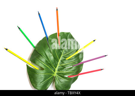 Torna a scuola con sfondo colorato colori al neon matite, verde foglia di monstera su sfondo bianco, isolata. Appartamento laico, vista dall'alto, copia dello spazio. Foto Stock