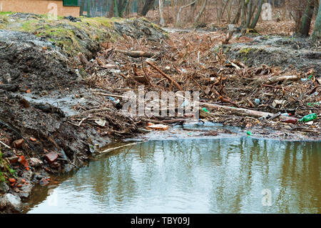 Inquinamento dei serbatoi, garbage nella foresta sul fiume Foto Stock