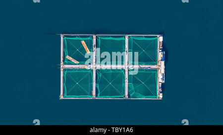 Pesce salmone farm. Hordaland, Norvegia. Foto Stock