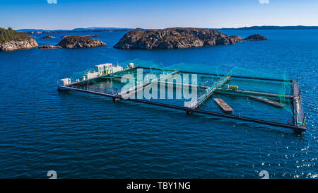 Pesce salmone farm. Hordaland, Norvegia. Foto Stock