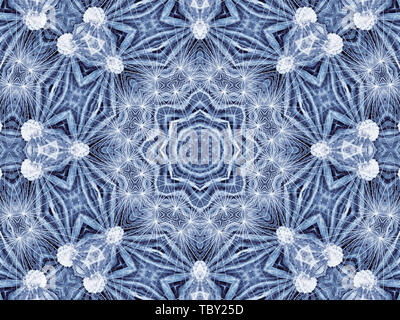 Sfondo con astratto modello radiale di naturale grande fiore di dente di leone Foto Stock