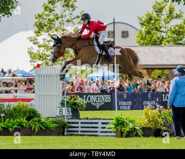 Langley, British Columbia, CAN. 2 Giugno, 2019. Vigilia di posti di lavoro (USA) rides sede d'onorari DES HAZALLES nel LONGINES FEI Jumping Nations Cup"¢ del Canada a Thunderbird mostra Park il 2 giugno 2019 a Langley BC Canada. Credito: Cara Grimshaw/ZUMA filo/Alamy Live News Foto Stock