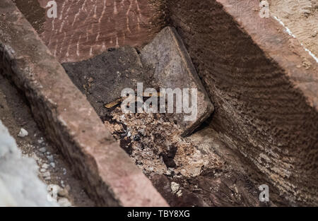 Mainz, Germania. 04 Giugno, 2019. Rimane può essere visto nel sarcofago aperto. Nella navata centrale del protestante del San Johanniskirche in Mainz, la vecchia cattedrale, straordinariamente ben conservato sarcofago è stato scoperto. Il sarcofago, stimato a 1.000 anni, è aperto in presenza dei mezzi di comunicazione e un team di ricerca internazionale. Credito: Andreas Arnold/dpa/Alamy Live News Foto Stock