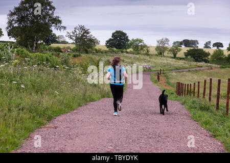 Serbatoio Sywell, Northamptonshire, Regno Unito. Il 4 giugno, 2019. Meteo, Northamptonshire, Regno Unito. Un ottuso mite giorno per questo womem jogging con il suo cane attorno al serbatoio Sywell tarda mattina con le previsioni di pioggia per il primo pomeriggio. Credito: Keith J Smith./Alamy Live News Foto Stock