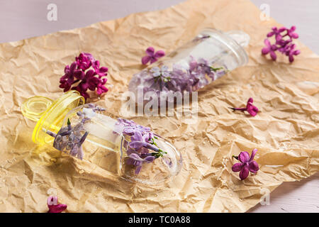 Popsicles floreale con freschi fiori lilla su pergamena Foto Stock