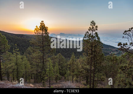 Magico tramonto sopra le nuvole nelle montagne di Tenerife nelle isole Canarie Foto Stock