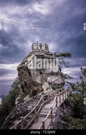 Fotografato in Xiangyu Forest Park, Qinling Foto Stock