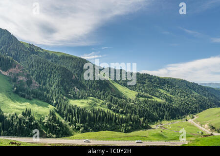 La foresta di plateau Panshan strada lungo il G217 Doku autostrada sotto il cielo blu e nuvole bianche in Xinjiang, Cina Foto Stock