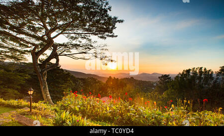 Al tramonto nelle montagne di Kandy, centro dello Sri Lanka, ho alloggiato al picco Hotel in Kandy montagne che di sera. Non appena ho abbandonato il mio bagaglio e camminato fuori della camera, la bellezza del tramonto è apparso davanti a me. Foto Stock