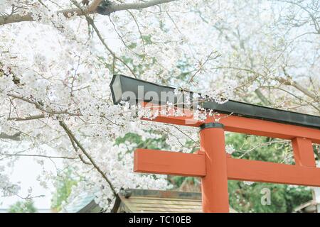 Nara Camera ghiaccio Santuario Foto Stock