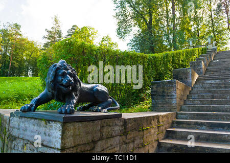 Pavlovsk, San Pietroburgo, Russia- Settembre 21, 2017. Grande scala di pietra e la scultura di un leone nero sul piedistallo nel Parco Pavlovsk, St Petersbu Foto Stock