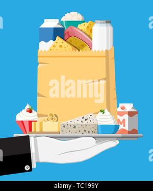 Prodotti lattiero-caseari impostato nel vassoio. Raccolta del latte alimentare. Latte, formaggio, yogurt, burro, panna acida, cottage, crema. Tipologia dei prodotti di fattoria. Illustrazione Vettoriale in stile piatto Illustrazione Vettoriale