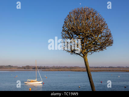 Piccola Vela yacht ormeggiati in inverno sul fiume Deben, Waldringfield, Suffolk, Inghilterra, Regno Unito Foto Stock