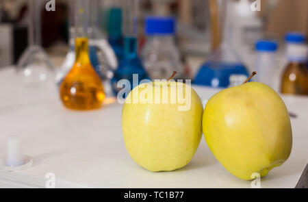 Vista di fresche mele mature con provette e strumenti sul tavolo in laboratorio di ricerca. Concetto di modificazione genetica di frutta Foto Stock