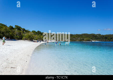 Il lago di Mackenzie su Fraser Island off il sole del Queensland è un bellissimo lago di acqua dolce popolare con i turisti che visitano l'Isola di Fraser Foto Stock